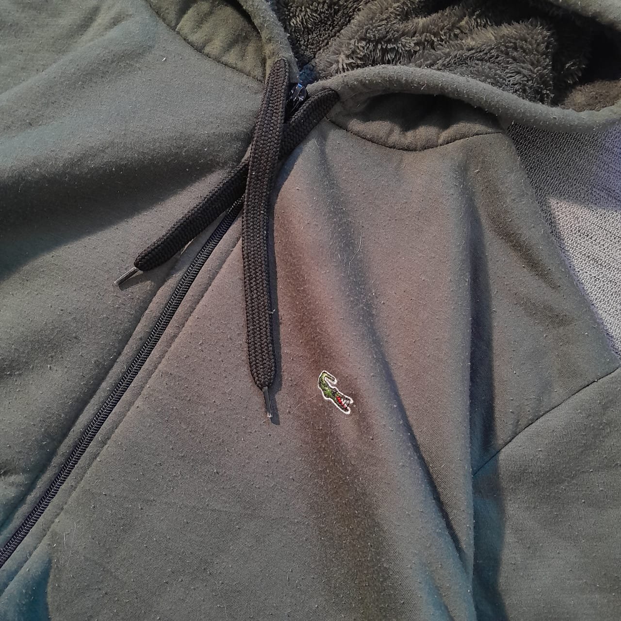 Lacoste Zip